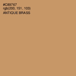 #C89767 - Antique Brass Color Image